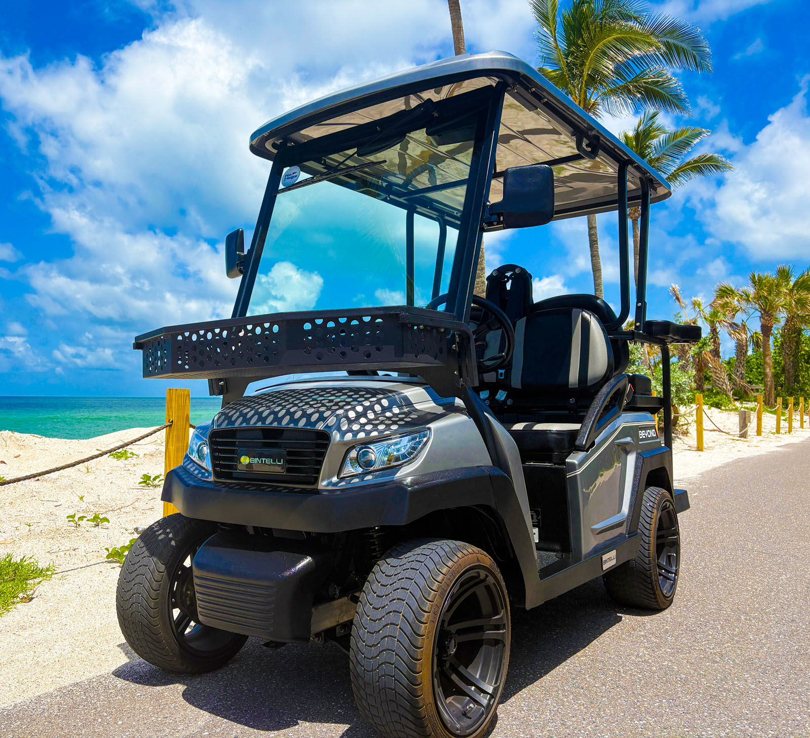 4-Person Standard Golf Cart on Casey Key